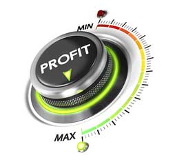 profit